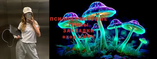 первитин Арсеньев
