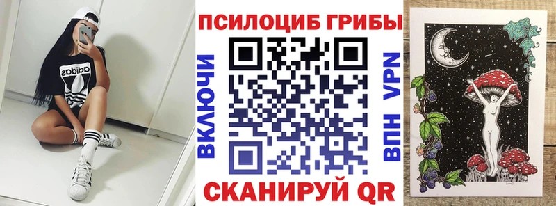 цены наркотик  Аткарск  Псилоцибиновые грибы Magic Shrooms 